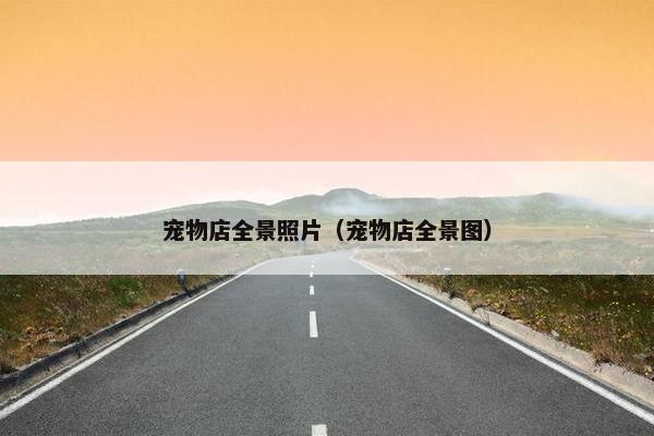 市场 第2页