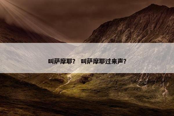 叫萨摩耶？ 叫萨摩耶过来声？