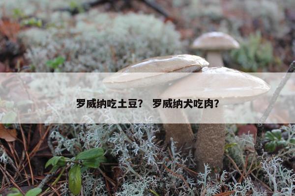 罗威纳吃土豆？ 罗威纳犬吃肉？
