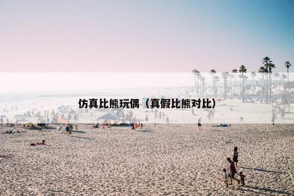 仿真比熊玩偶（真假比熊对比）