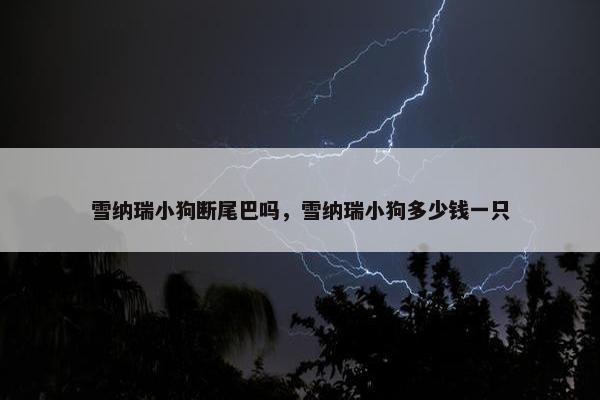 雪纳瑞小狗断尾巴吗，雪纳瑞小狗多少钱一只