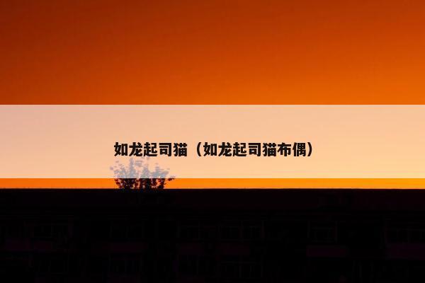 如龙起司猫（如龙起司猫布偶）
