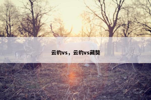 云豹vs，云豹vs藏獒