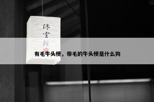 有毛牛头梗，带毛的牛头梗是什么狗