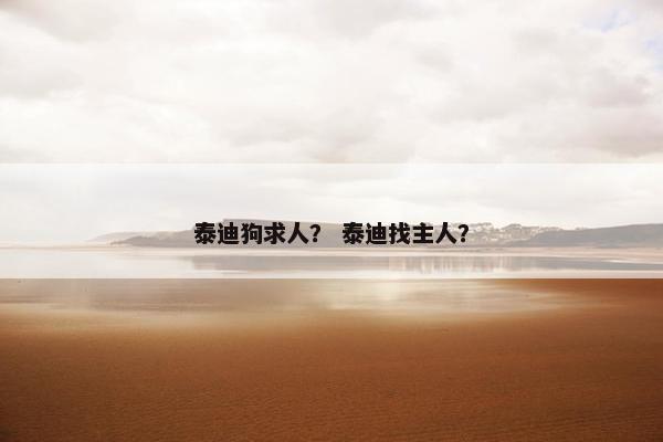 泰迪狗求人？ 泰迪找主人？