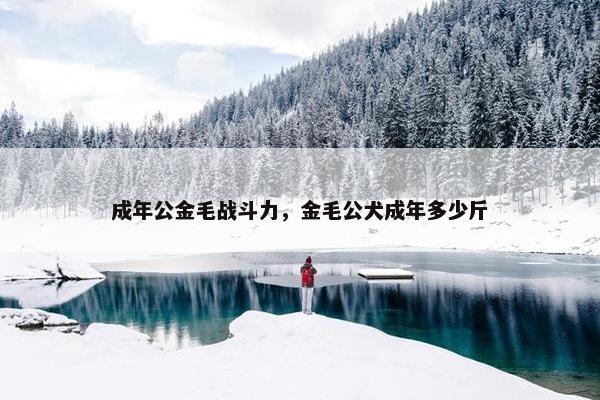战斗力