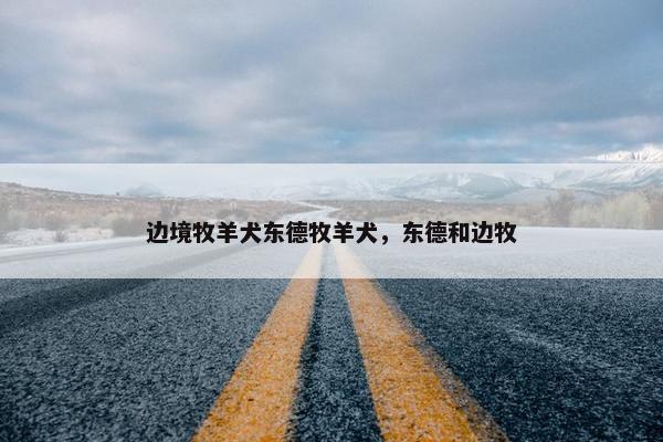 边境牧羊犬东德牧羊犬，东德和边牧