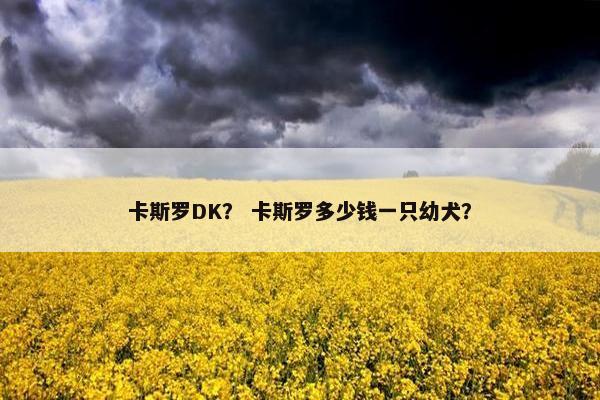 卡斯罗DK？ 卡斯罗多少钱一只幼犬？