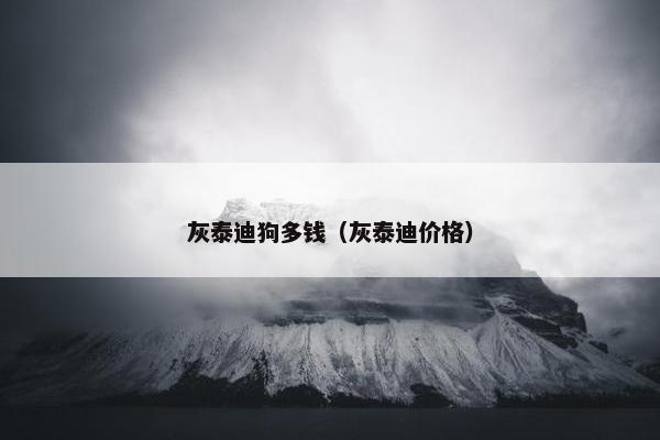 灰泰迪狗多钱（灰泰迪价格）