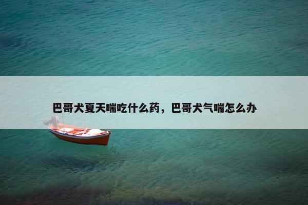 巴哥犬夏天喘吃什么药，巴哥犬气喘怎么办