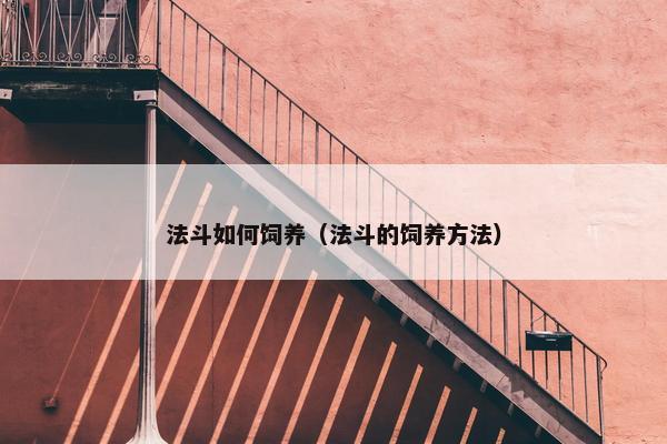 法斗如何饲养（法斗的饲养方法）