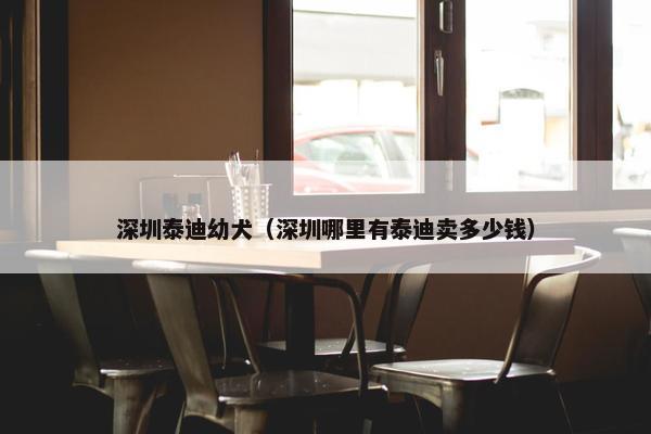 深圳泰迪幼犬（深圳哪里有泰迪卖多少钱）