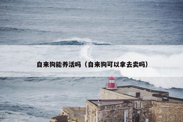 自来