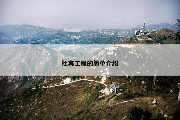 杜宾工程的简单介绍
