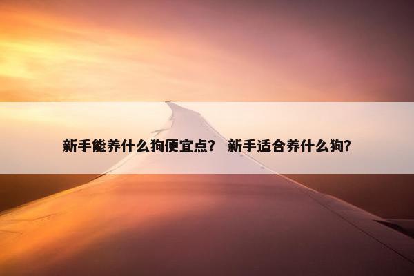 新手能养什么狗便宜点？ 新手适合养什么狗？