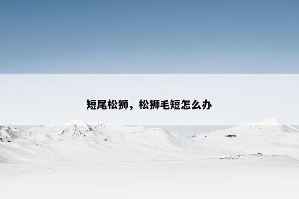 短尾松狮，松狮毛短怎么办