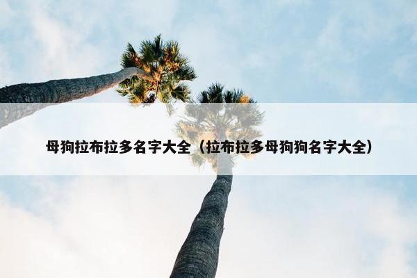 母狗拉布拉多名字大全（拉布拉多母狗狗名字大全）