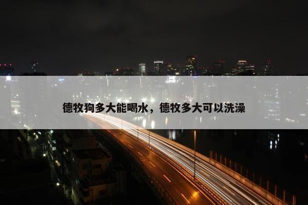 德牧狗多大能喝水，德牧多大可以洗澡