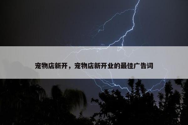 宠物店新开，宠物店新开业的最佳广告词