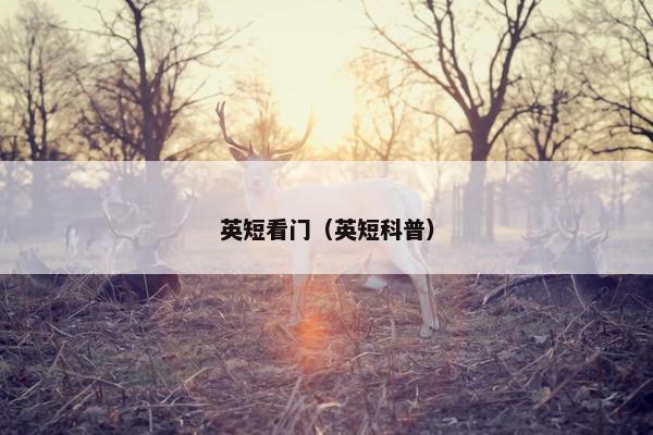 英短看门（英短科普）