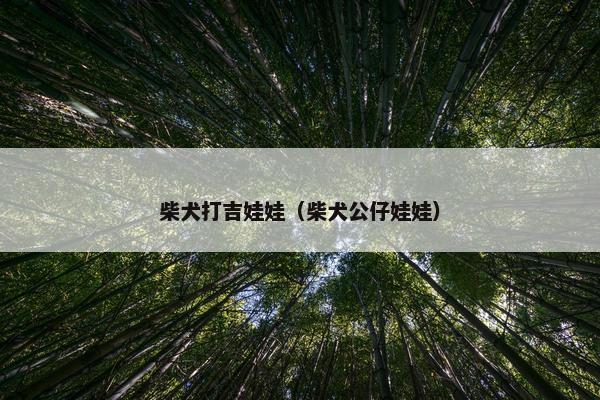 柴犬打吉娃娃（柴犬公仔娃娃）