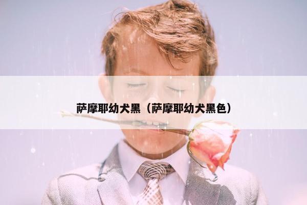 萨摩耶幼犬黑（萨摩耶幼犬黑色）