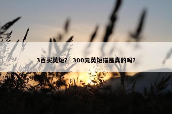 3百买英短？ 300元英短猫是真的吗？