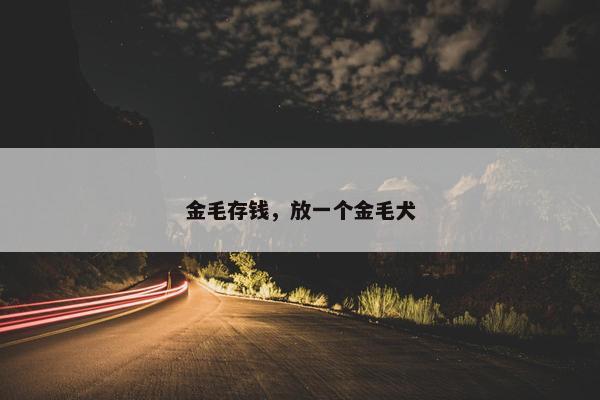 金毛存钱，放一个金毛犬