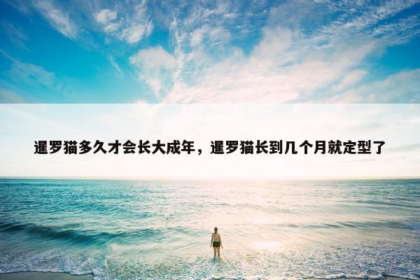 暹罗猫多久才会长大成年，暹罗猫长到几个月就定型了