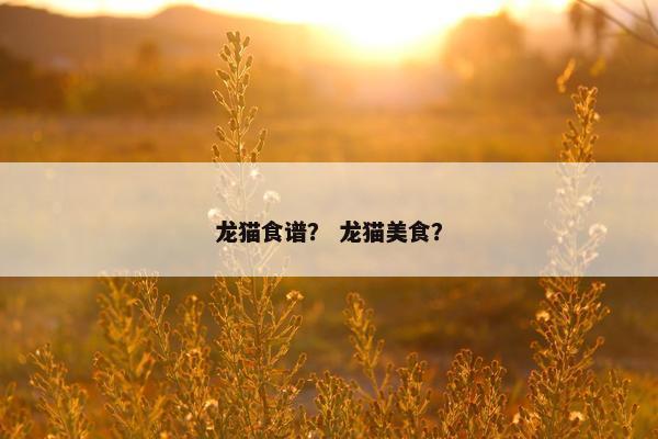 龙猫食谱？ 龙猫美食？