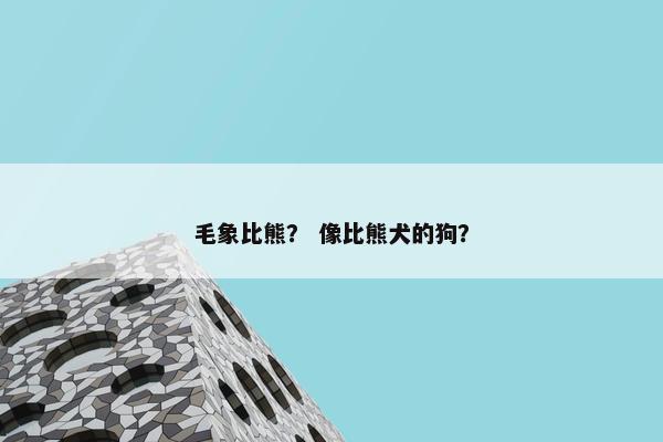 毛象比熊？ 像比熊犬的狗？