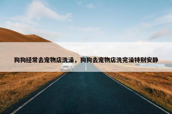 狗狗经常去宠物店洗澡，狗狗去宠物店洗完澡特别安静