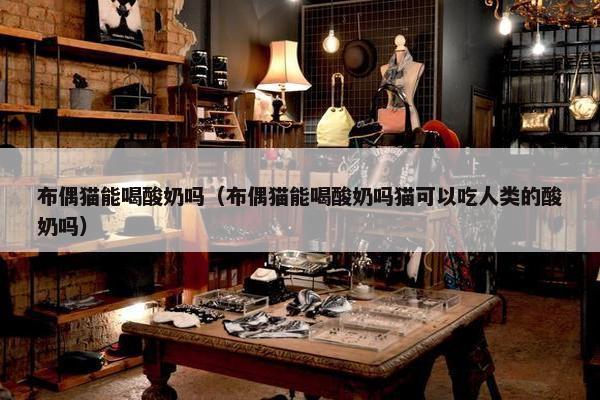 布偶猫能喝酸奶吗（布偶猫能喝酸奶吗猫可以吃人类的酸奶吗）