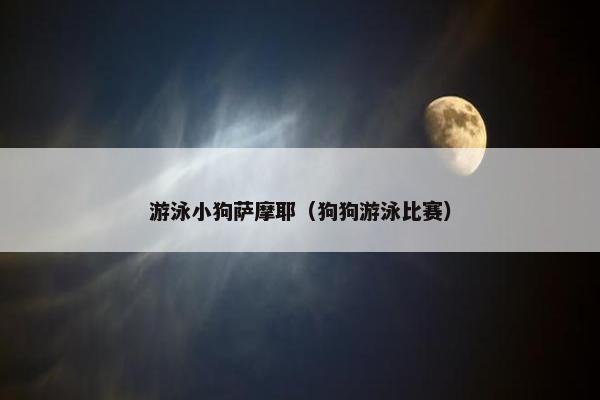 游泳小狗萨摩耶（狗狗游泳比赛）