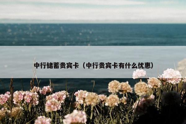 中行储蓄贵宾卡（中行贵宾卡有什么优惠）