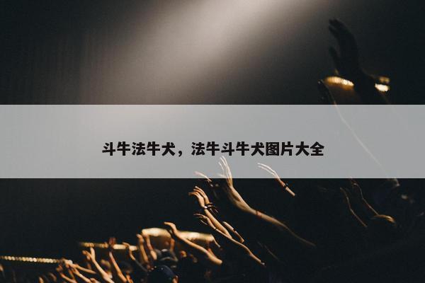 斗牛法牛犬，法牛斗牛犬图片大全