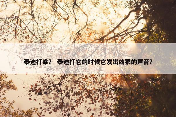 泰迪打拳？ 泰迪打它的时候它发出凶狠的声音？