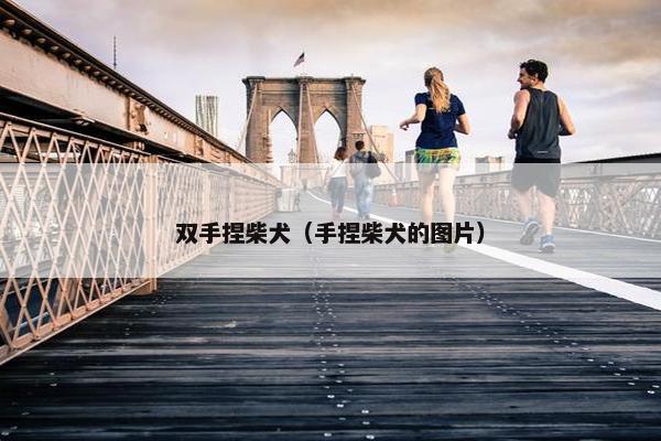 双手捏柴犬（手捏柴犬的图片）