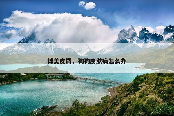 博美皮屑，狗狗皮肤病怎么办