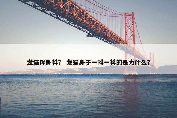 龙猫 第19页