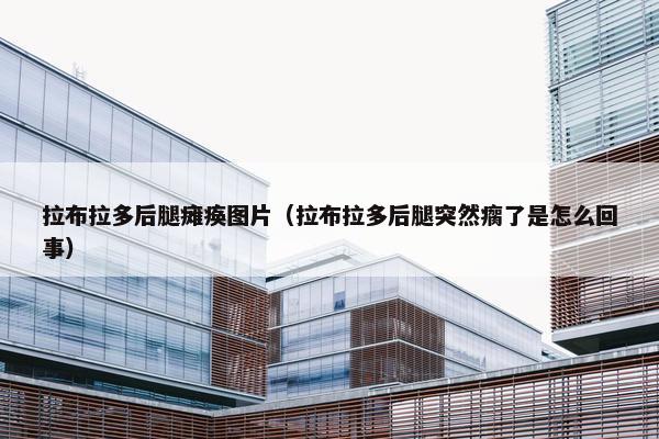 拉布拉多后腿瘫痪图片（拉布拉多后腿突然瘸了是怎么回事）