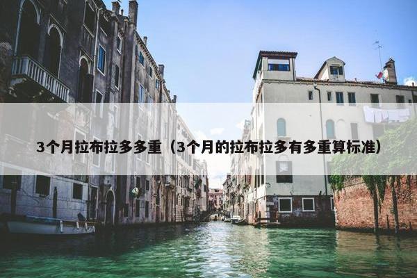 3个月拉布拉多多重（3个月的拉布拉多有多重算标准）