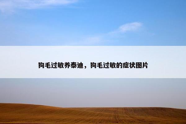 狗毛过敏养泰迪，狗毛过敏的症状图片