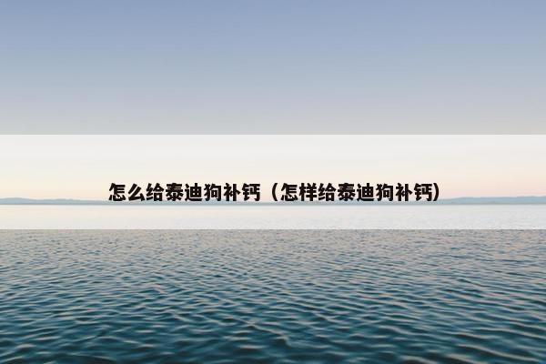 泰迪狗 第23页