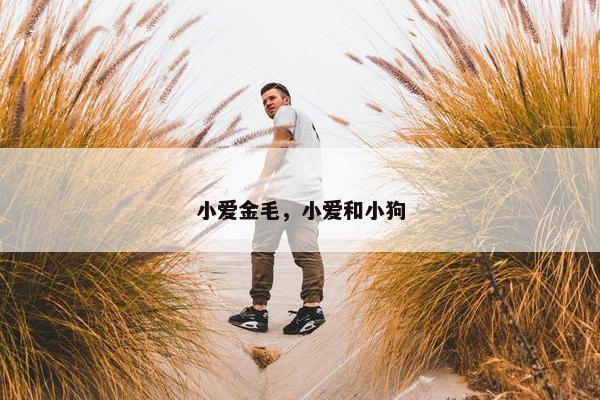 小爱金毛，小爱和小狗