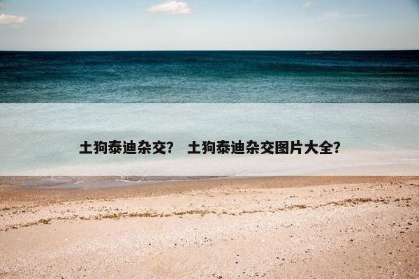 土狗泰迪杂交？ 土狗泰迪杂交图片大全？