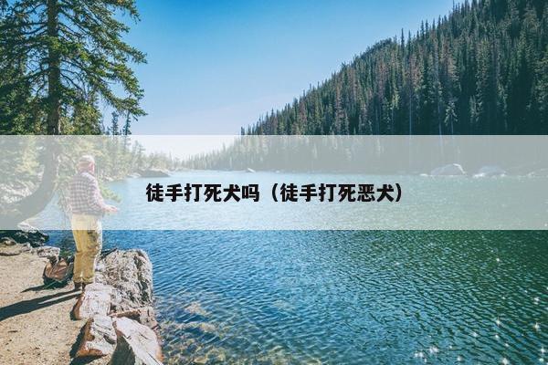 徒手打死犬吗（徒手打死恶犬）
