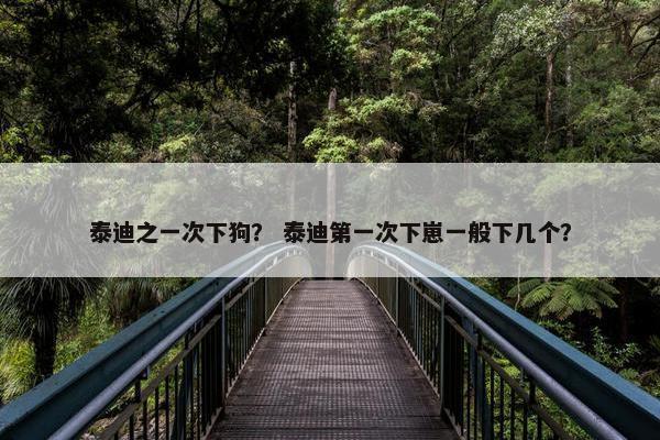 泰迪之一次下狗？ 泰迪第一次下崽一般下几个？