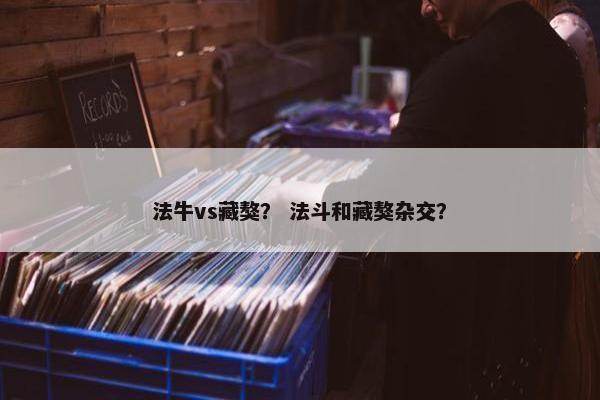 法牛vs藏獒？ 法斗和藏獒杂交？
