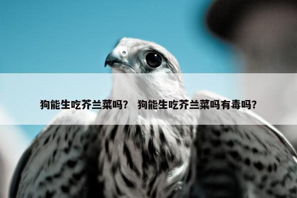 狗能生吃芥兰菜吗？ 狗能生吃芥兰菜吗有毒吗？